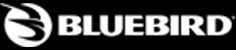 Blue Bird International